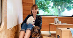 李懿救援26隻浪貓　「心血」入海全泡湯